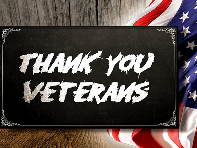 Spotlight Newsletter Image Template_veterans day