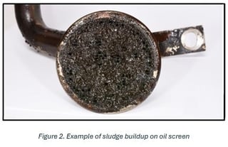 adaptive_image_copy_copy_copy_copy_copy_copy_copy_copy_copy_copy_copy_copy_copy__852361769.img